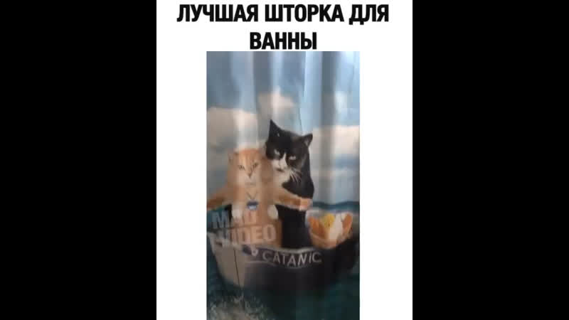 Шторка в ванную🤣😂