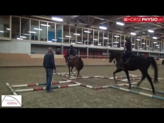 3 & 4 stangenstunde rv aarau 2016 3 & 4 pole training riding club aarau 2016