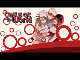 Cells at work!! (hataraku saibou!! はたらく細胞) hmmm