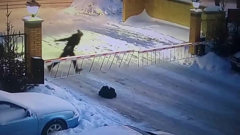 Циркач трюкач