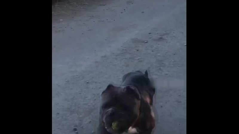 Походочка,как в море лодочка