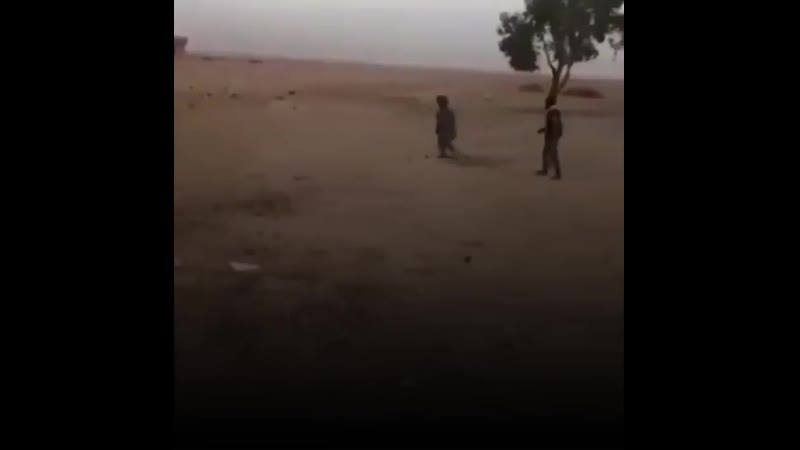 В сети появилось видео, на котором ополченцы рпк (сдф) расстреливают гражданских лиц #сирия