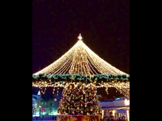 Margarita petrosyants 20200113 3 mp4