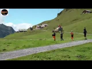 Cow flown by helicopter in switzerland during cattle march