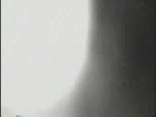 Черный гриф жизнь на земле