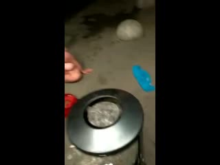 Обдолбанная жируха