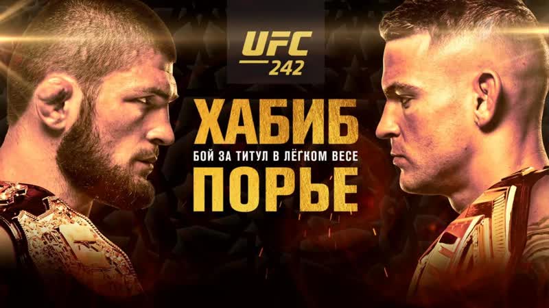 Бой за титул чемпиона мира хабиб нурмагомедов дастин порье