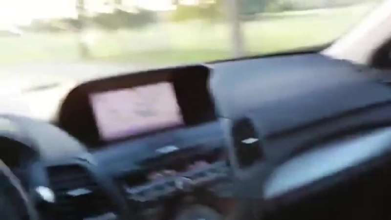 Пёсик ловит кайф, оказавшись в парке для молодые