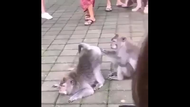 На осмотре у проктолога