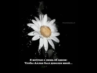 Musulmanka eli+instautility 00 cdg9wz5ac4j 11 116227911 112916573692930 361091130395942753 n mp4