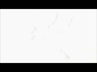 [ace of diamond](великий бейсболист)[серия 1 из 13](озвучкаloster01){le production}|new anime|