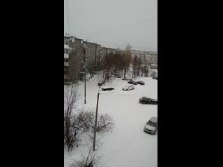 Vid 20210128 121144 mp4