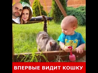 Сын ольги гажиенко впервые видит кошку