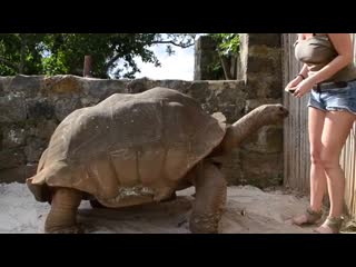 Yalangoch polshalik ayol fotosurati