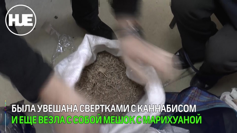 В биробиджане задержали женщину наркокурьера с целым мешком канабиса