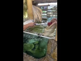 Само спокойствие!