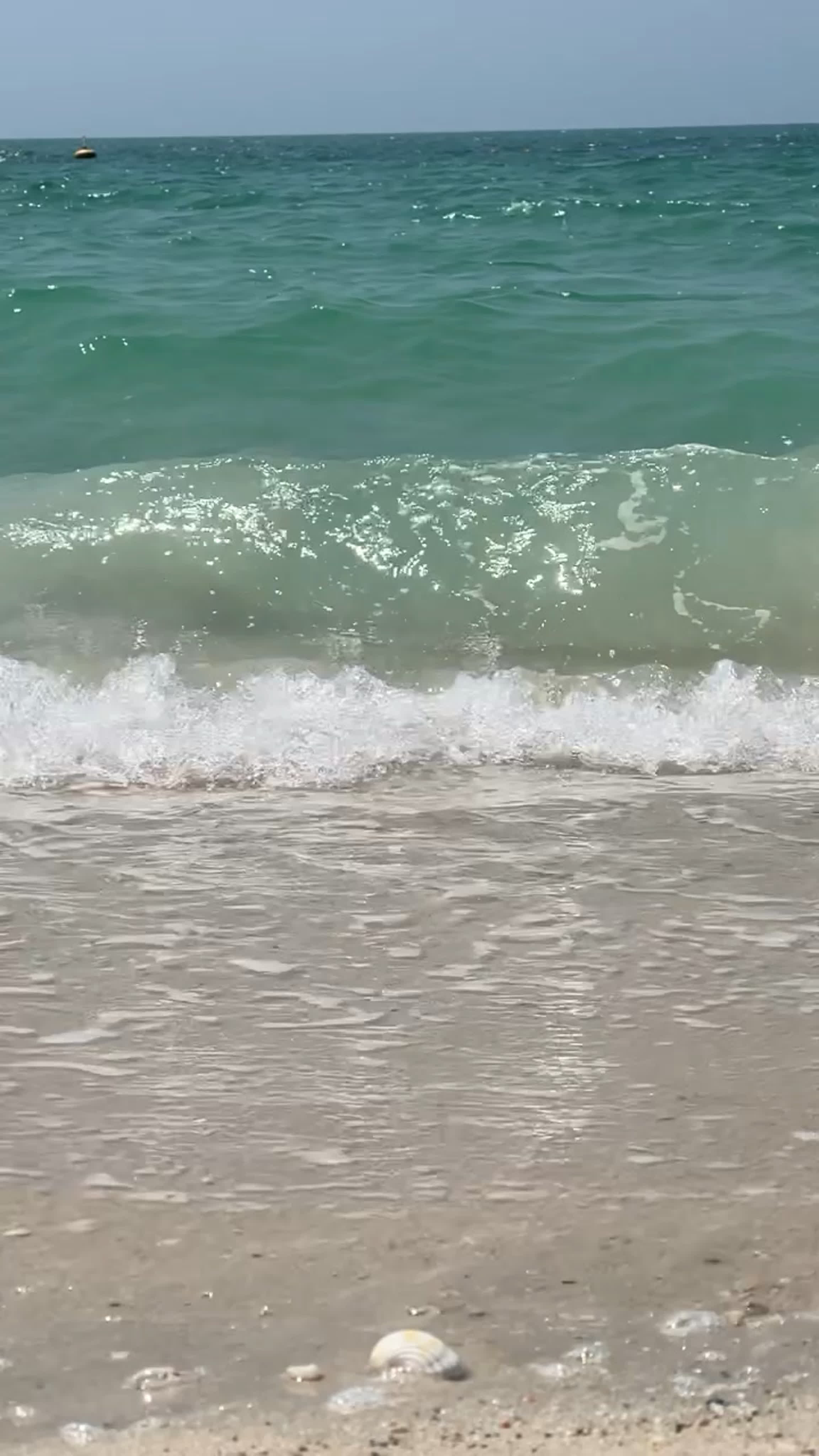 Море моё притяжение 🌊 - ExPornToons