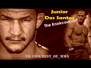 Junior "cigano" dos santos