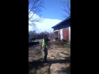 День прошёл не зря, когда обнял гуся (vhs video)