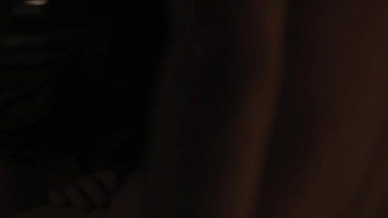 The girlfriend experience (2016)