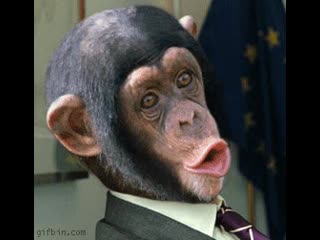 Nicolas sarkozy morphing into a monkey