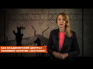 Как фсин обходит антимонопольное законодательство в бурятии | расследование «7х7»