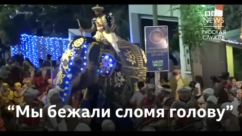 Elephant On Sri Lanka Trampled People At The Festival 