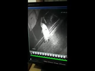 Пьяные парни испортили банер