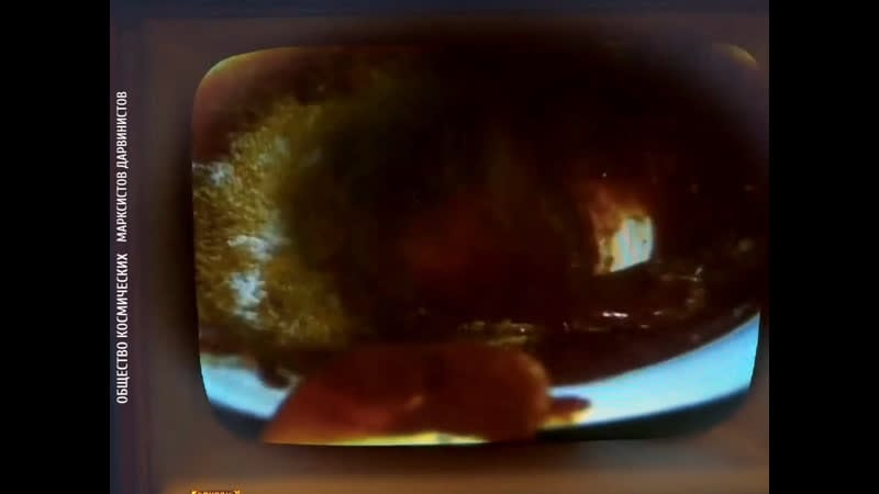 Афромосквич антоха в берлине проводит органолептичнскую экспертизу германских сосисок