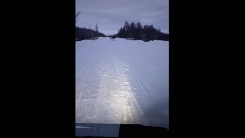 Да ну нафиг, я не поеду!