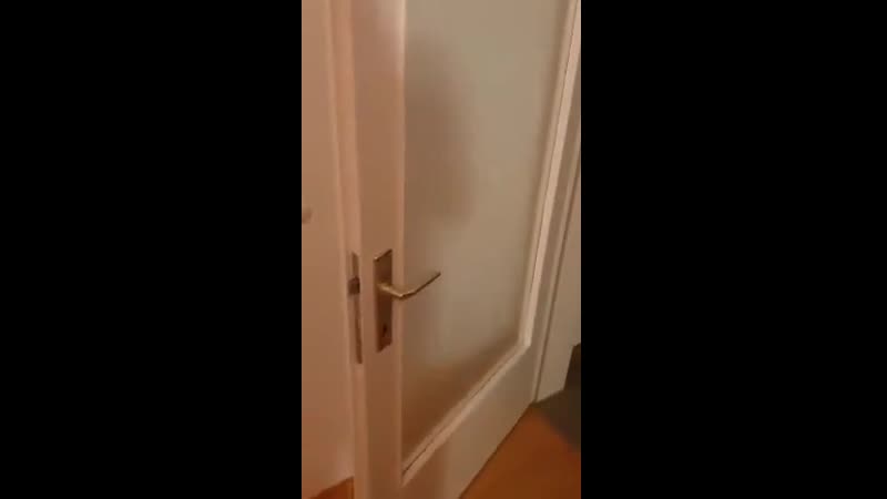 Скрип, который вас особенно "повеселит" ночью (vhs video)