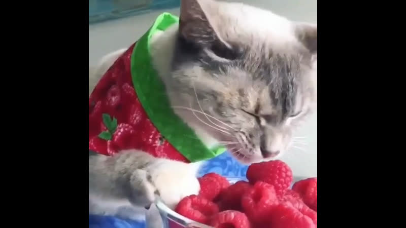 Малинки, малинки, такие вечеринки ❤️
