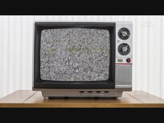 Why do we boil lobsters alive