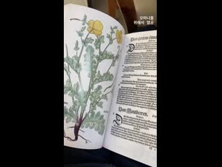 [ig] 200330 hyomin (t ara) instagram story