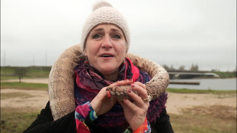 Даце и энрико за чудеса