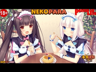 Nekopara vol 1 ля солей открыто