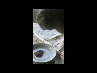 Фрося кушает азабочиную рыпку