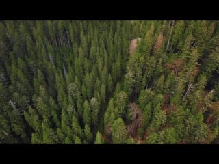 Синевир і говерла україна моя країна