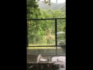 [ jj 1986 jj ig story ] 2