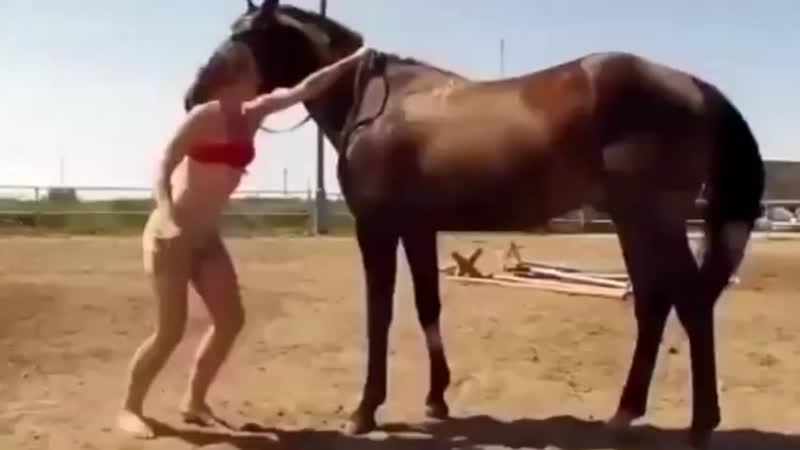 Очень умная лошадка