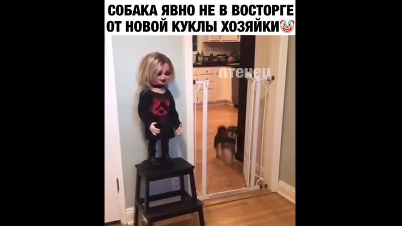 Я б тоже очканул криповатая кукла😂