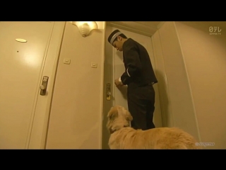 Тохошинки в дораме "tensai bakabon 3" часть 2