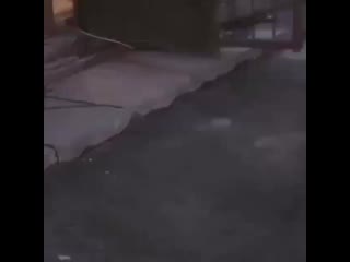 Kaz erkek 20200908 9 mp4