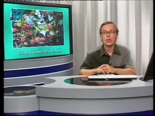 Цветы урок 4 6 декоративные деревья и кустарники часть 1