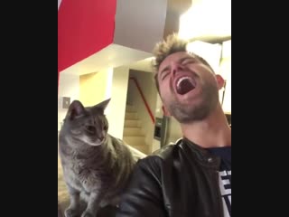 Let’s start a band hooman