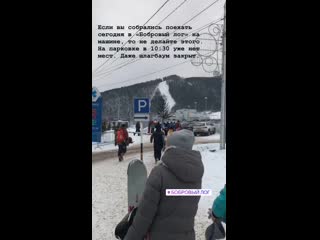 Пробка возле бобрового лога