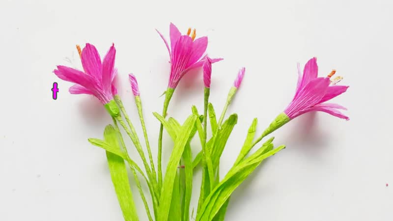 Diy how to make rain lily flower by crepe paper làm hoa huệ mưa bằng giấy nhún