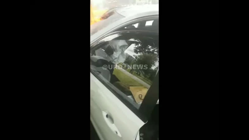 В петербурге 19 летний водитель киа рио, пытаясь избежать дтп не удержал машину и врезался в дерево