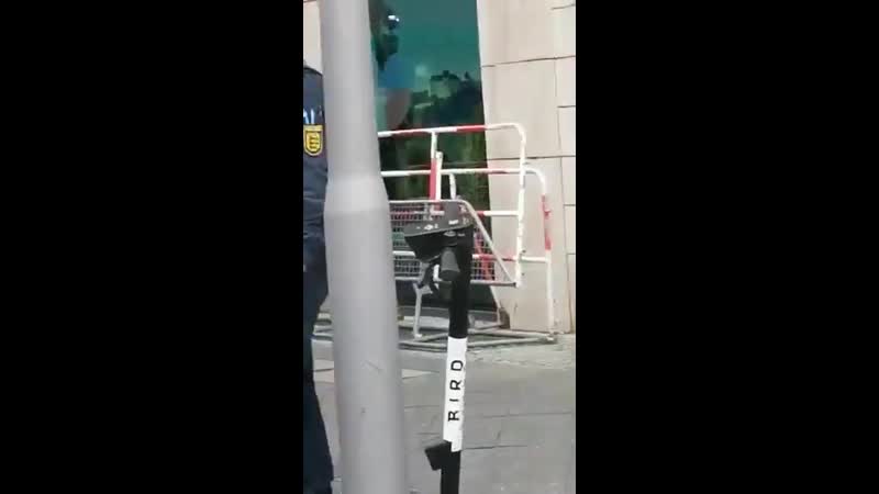 Задержание депутата бундестага от оппозиции mp4