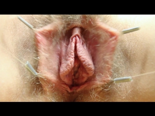 Говорящая вагина